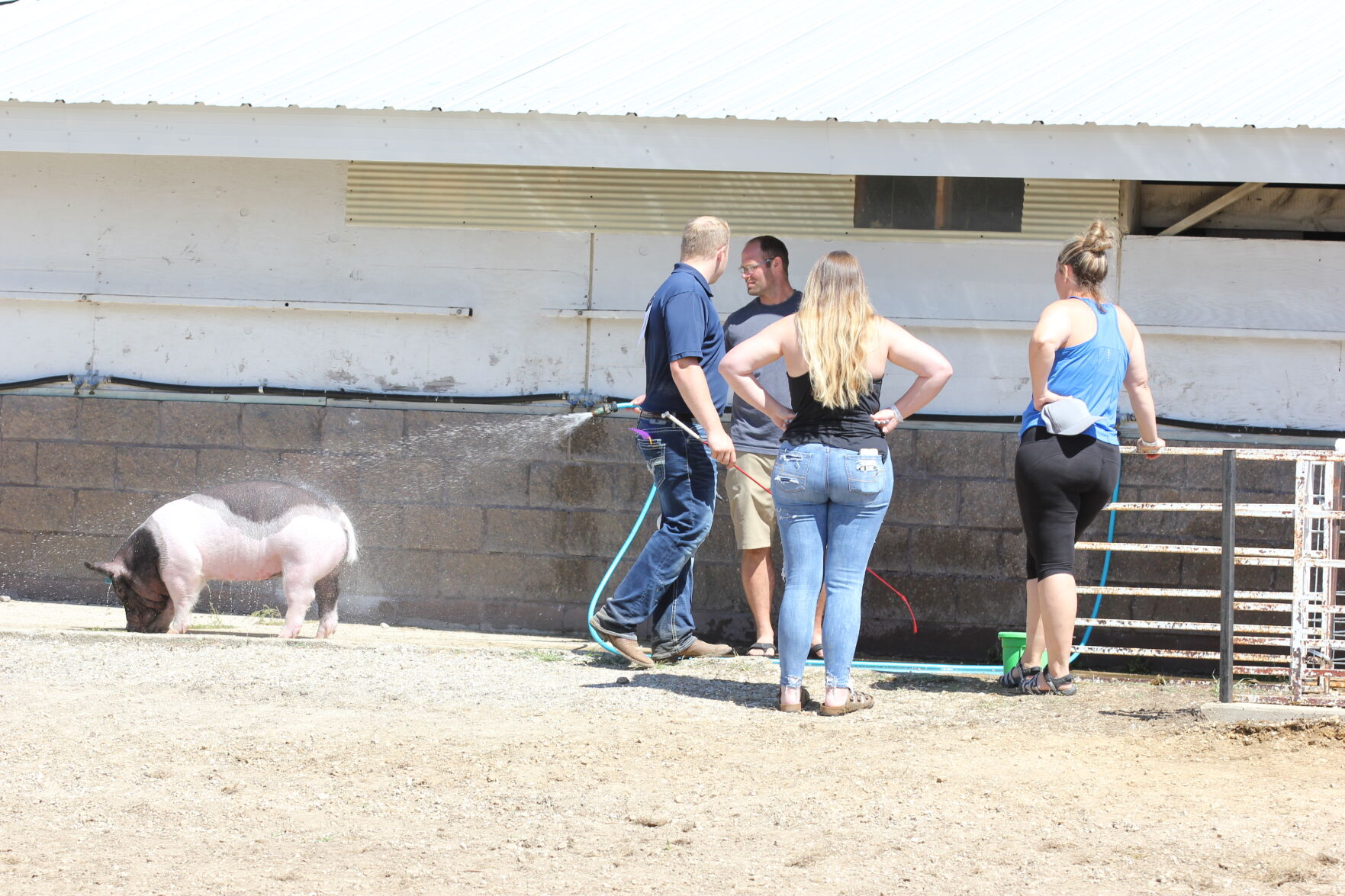 Pig Bath.JPG